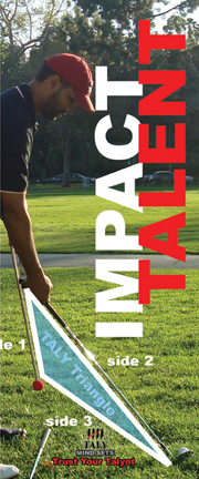 TALY Impact Talent Brochure