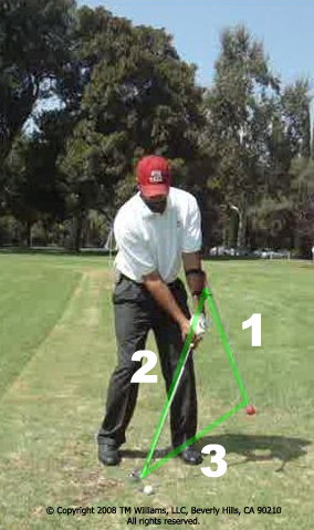 The TALY Triangle